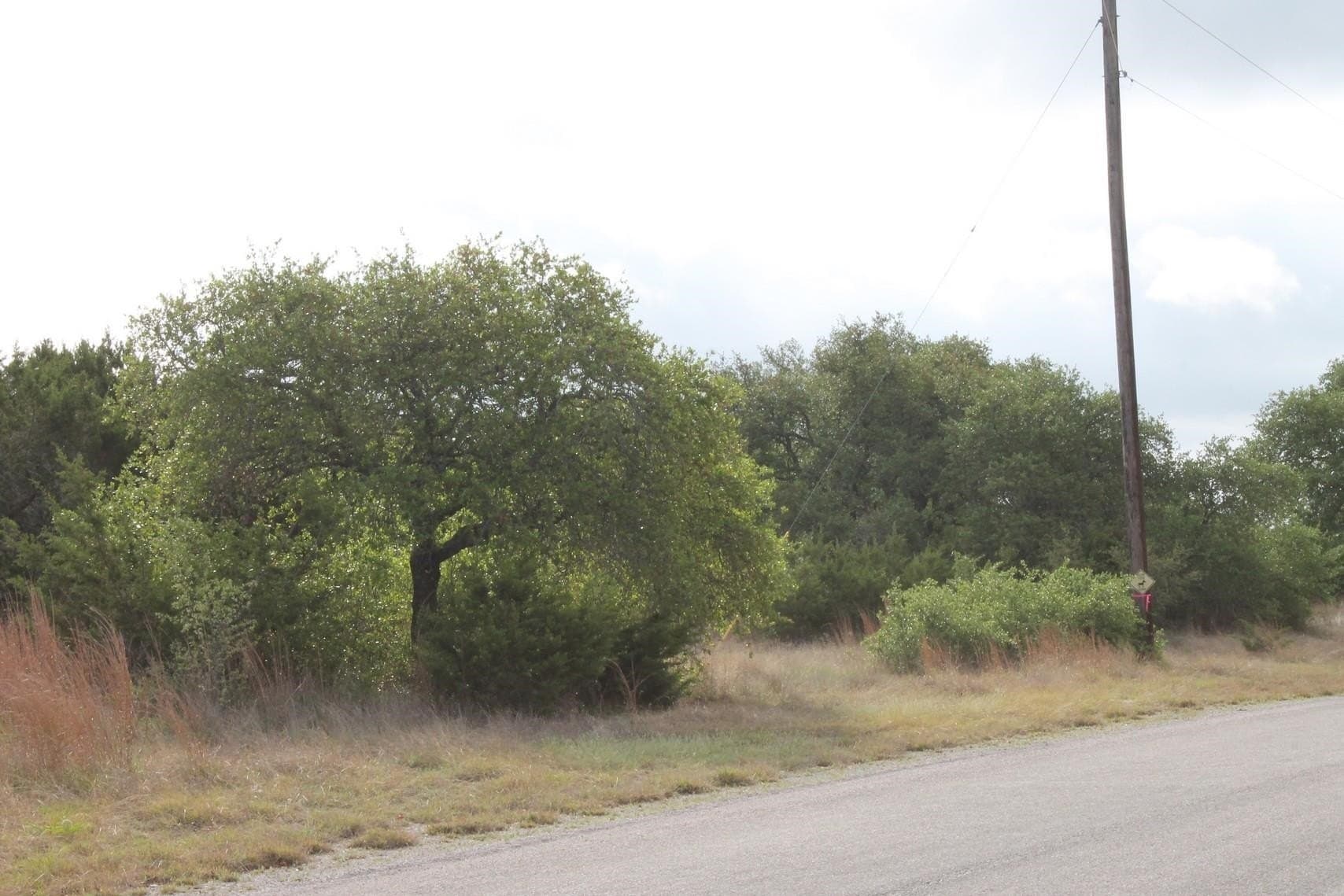 12.06 acres in Burnet County gallery image 3
