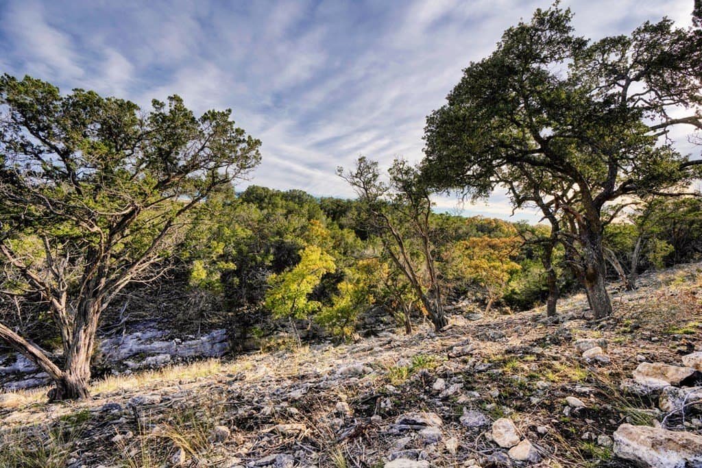 3.5 acres in Gillespie County - photo 6