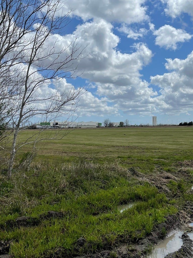41.97 acres in Texas County gallery image 4