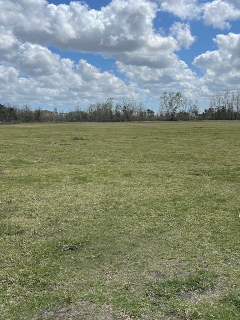 41.97 acres in Texas County gallery image 2