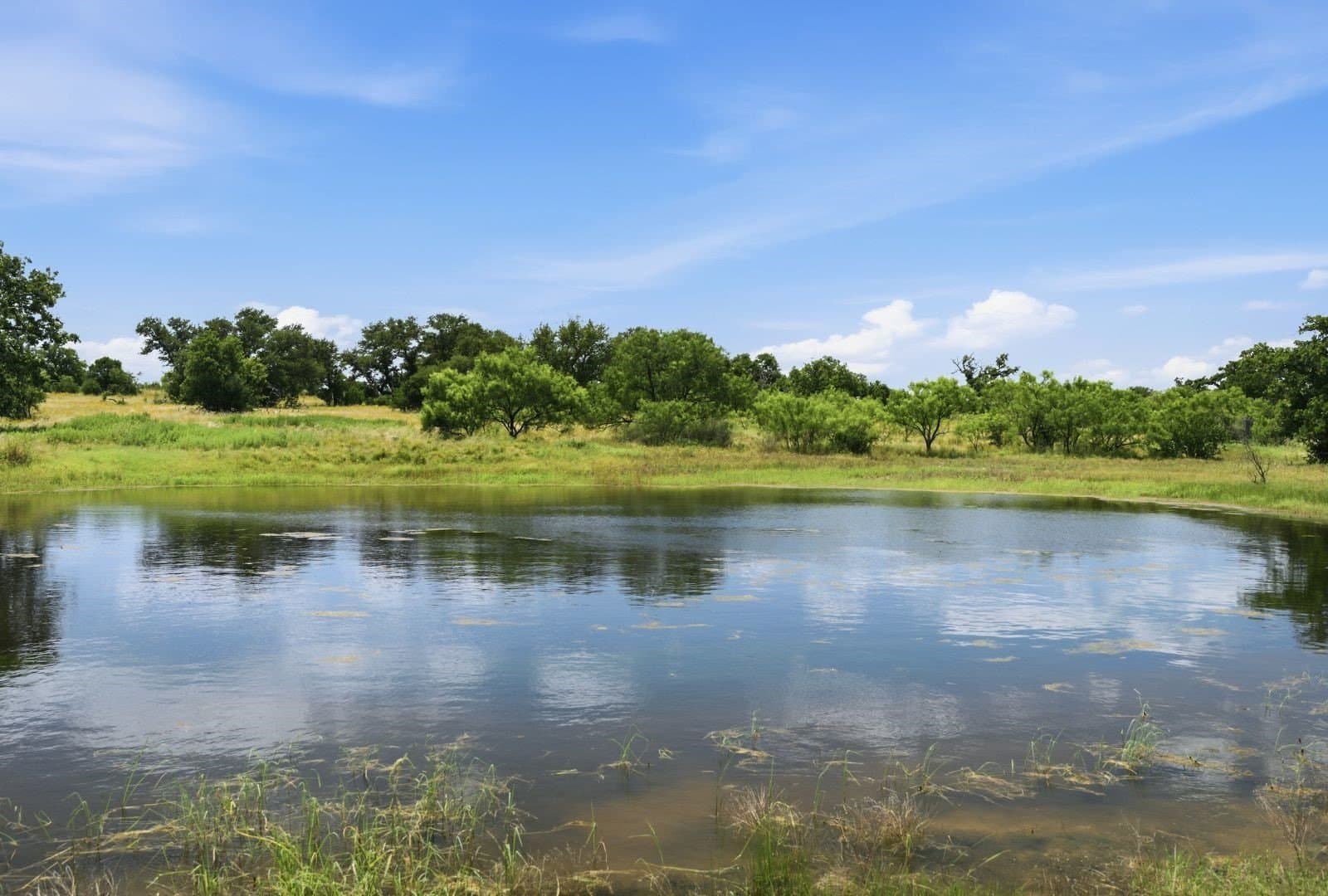 272 acres in Llano County - photo 3