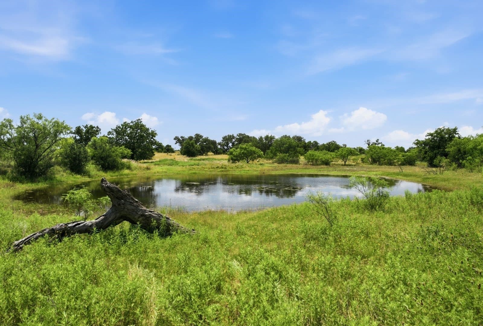 272 acres in Llano County - photo 15