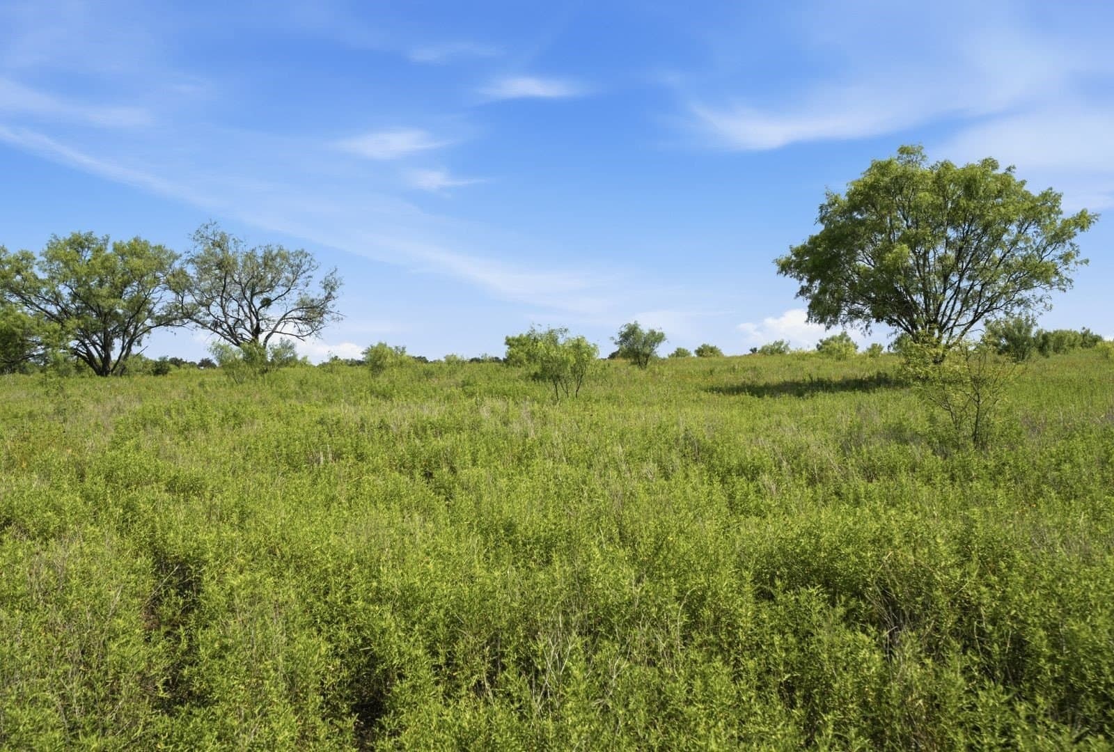 272 acres in Llano County - photo 12