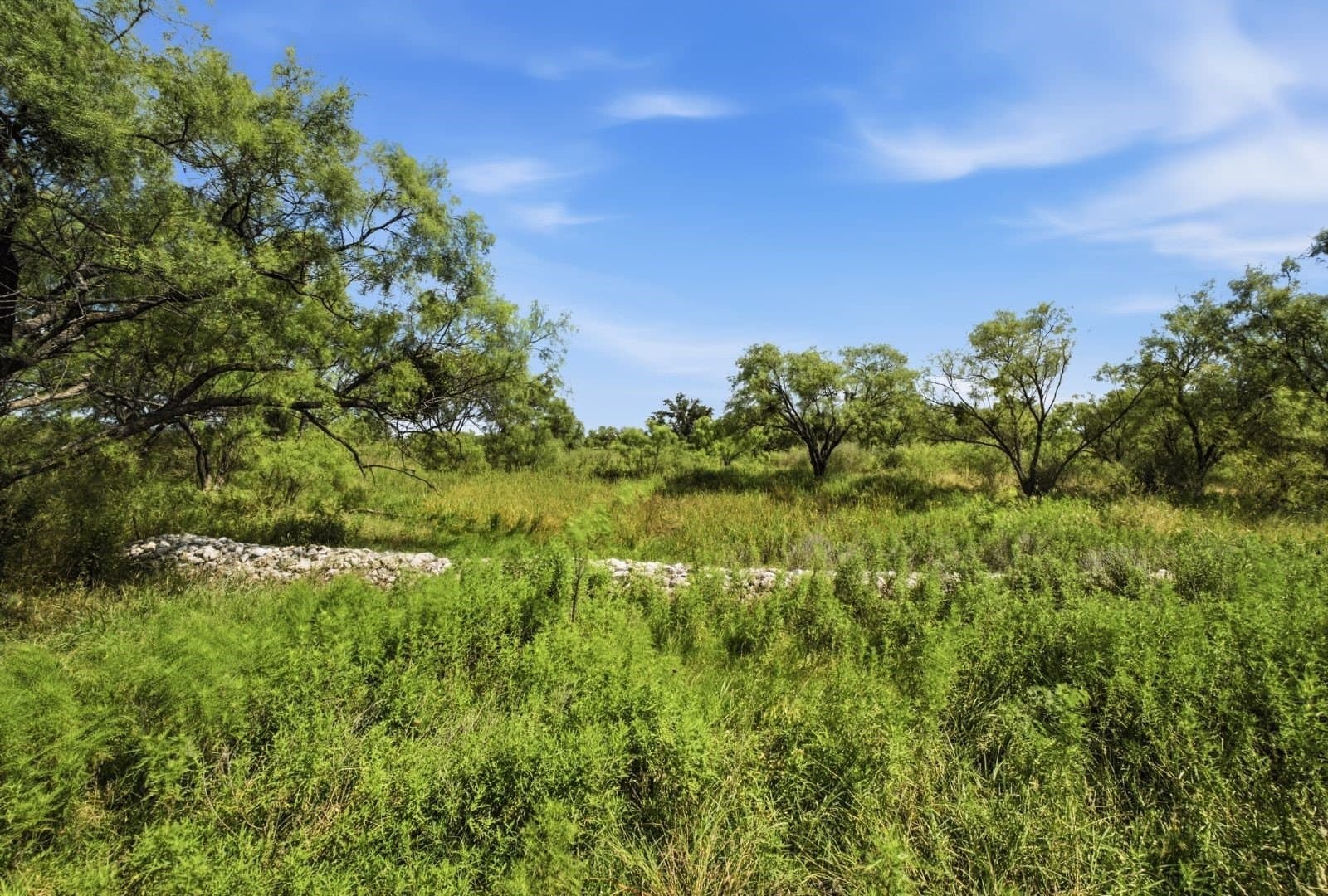 272 acres in Llano County - photo 16