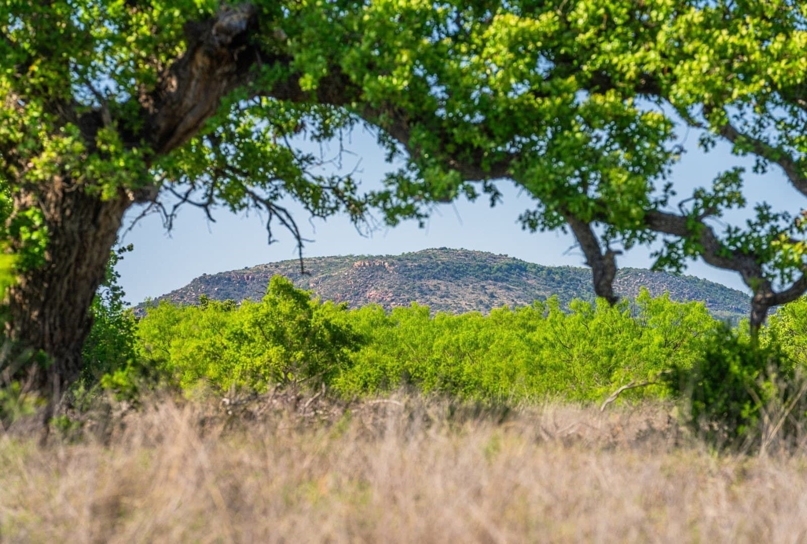 272 acres in Llano County - photo 4