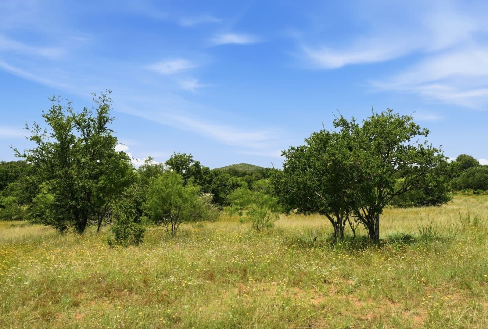 272 acres in Llano County - photo 14
