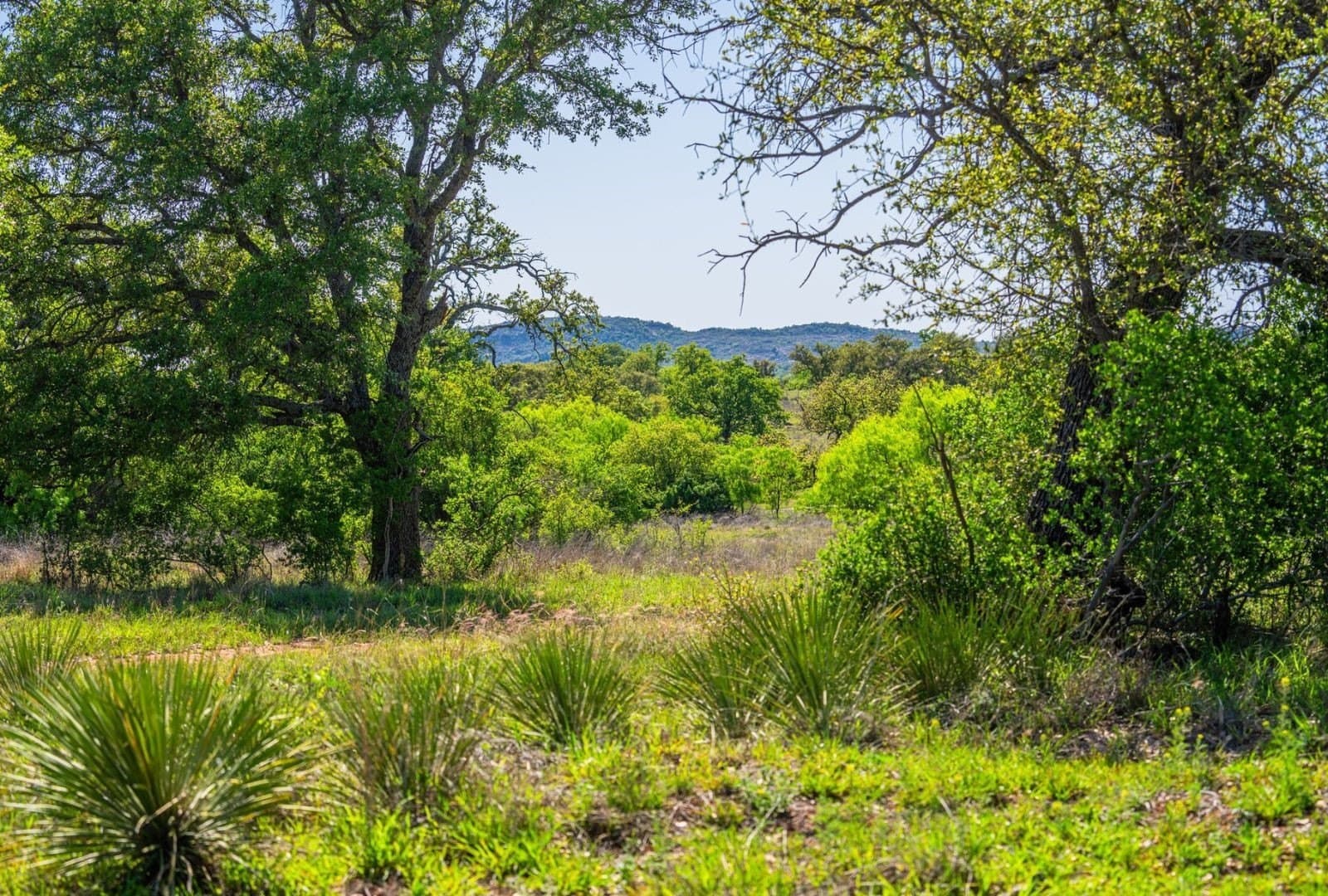 272 acres in Llano County - photo 40