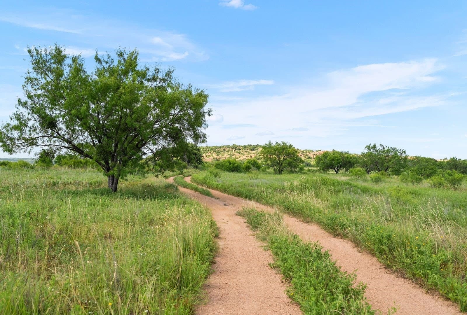 272 acres in Llano County - photo 9