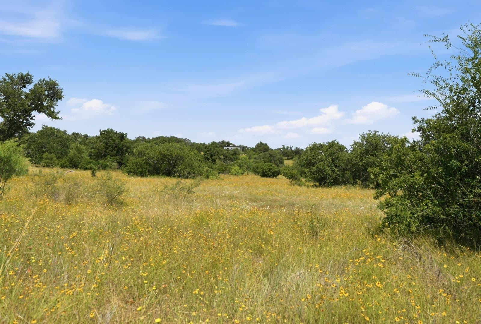 272 acres in Llano County - photo 24