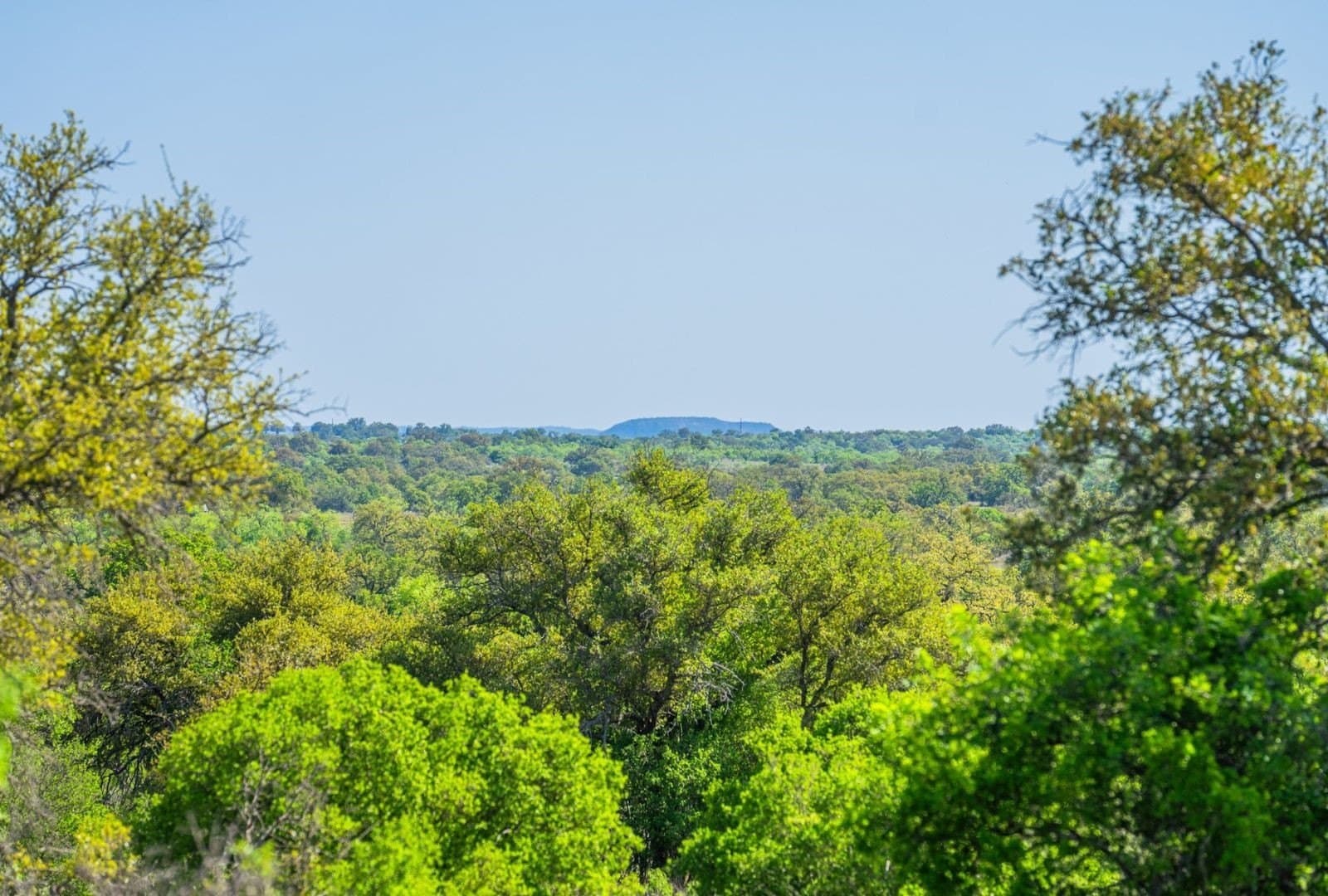 272 acres in Llano County - photo 38