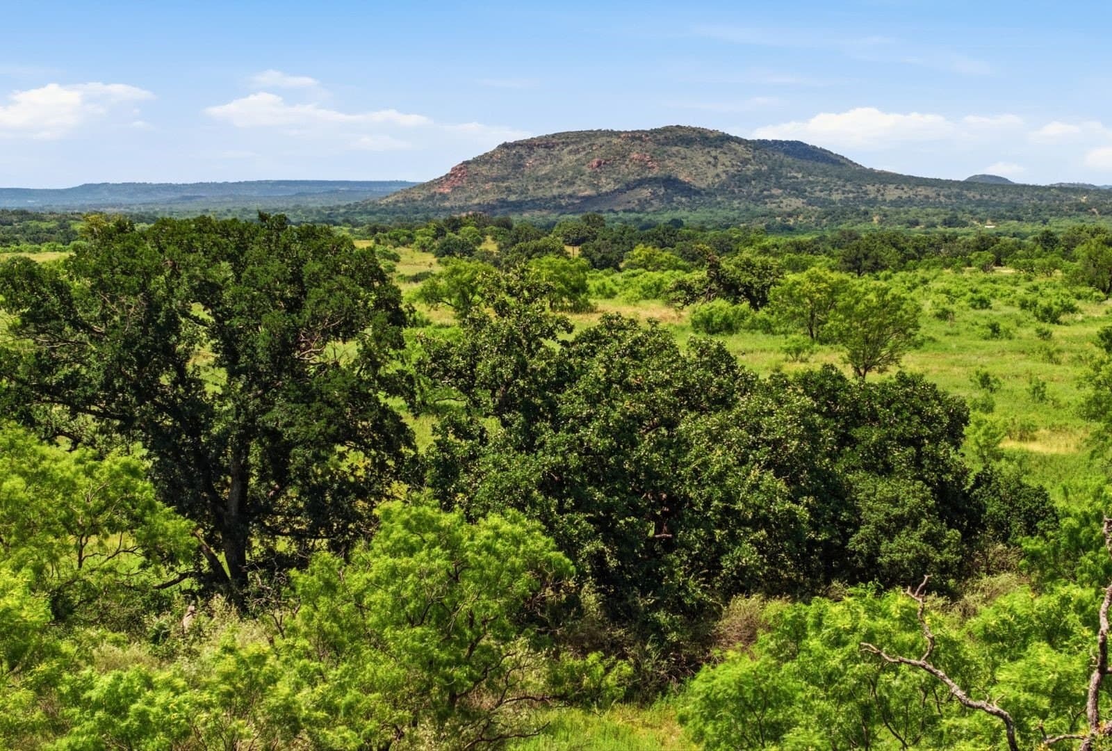 272 acres in Llano County - photo 5