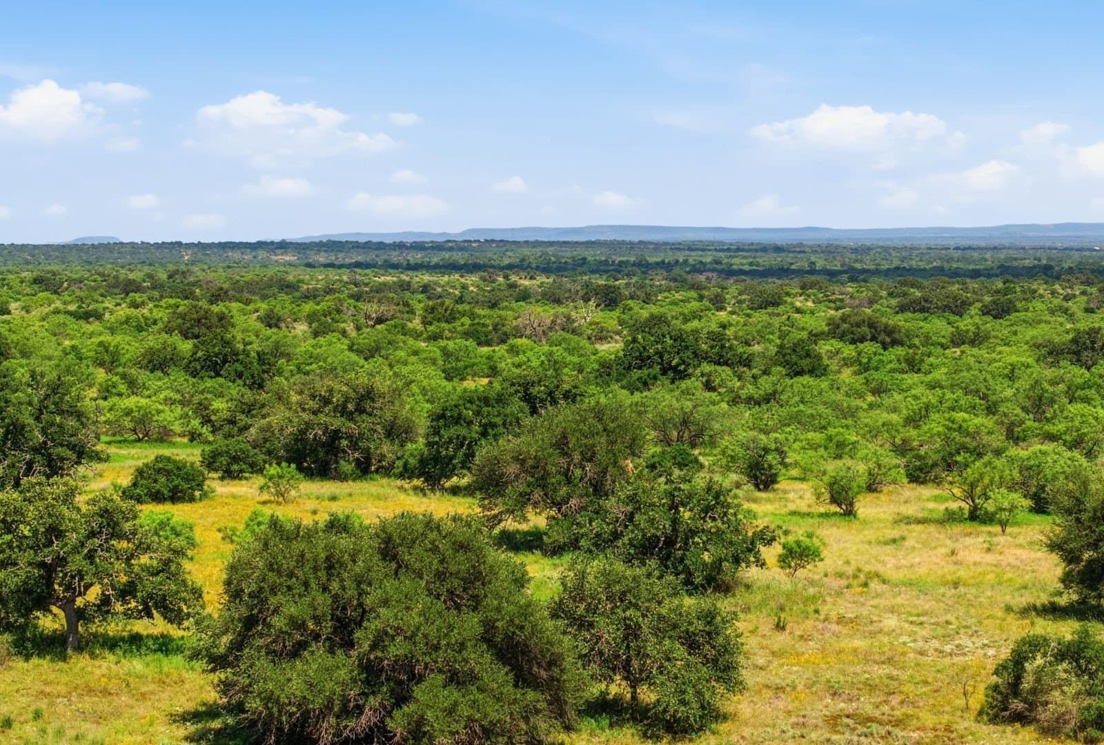 272 acres in Llano County - photo 20