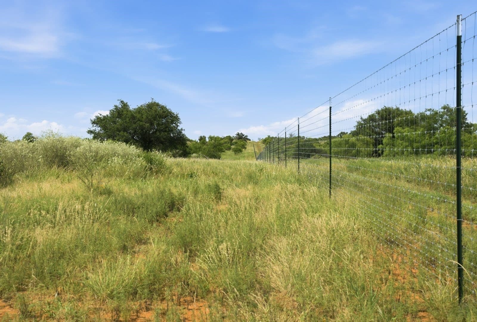 272 acres in Llano County - photo 18
