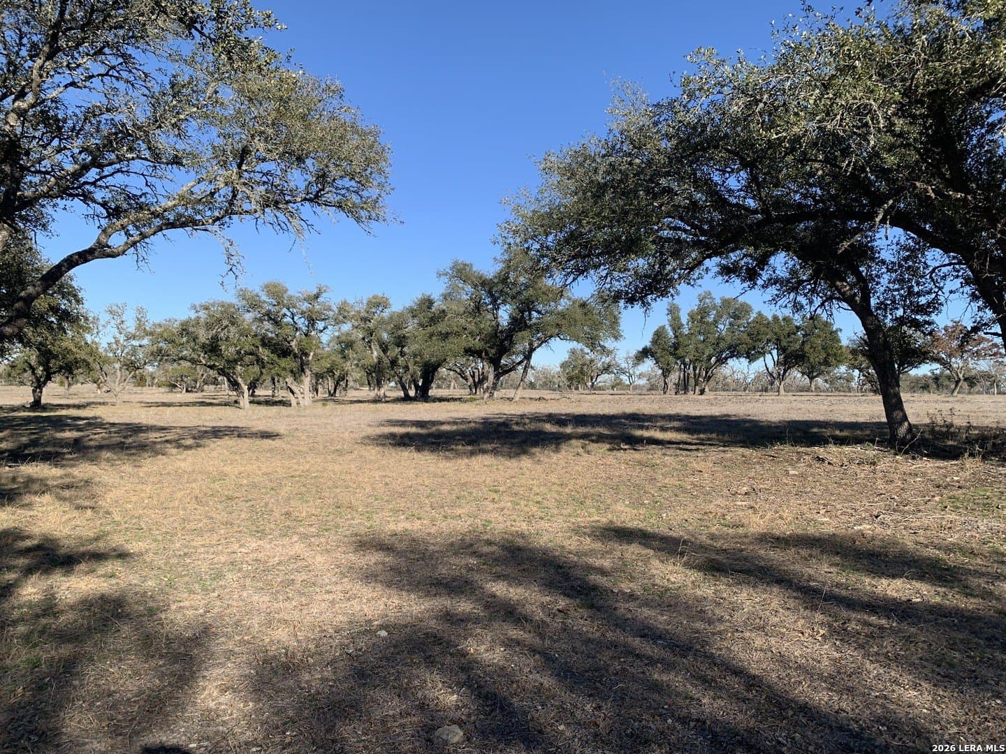 5.67 acres in Gillespie County gallery image 3