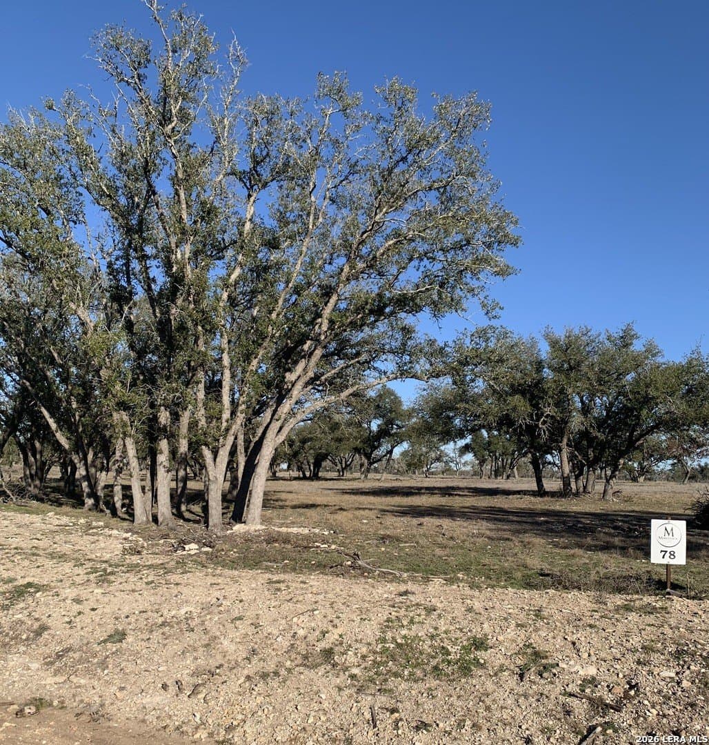 5.67 acres in Gillespie County - photo 7