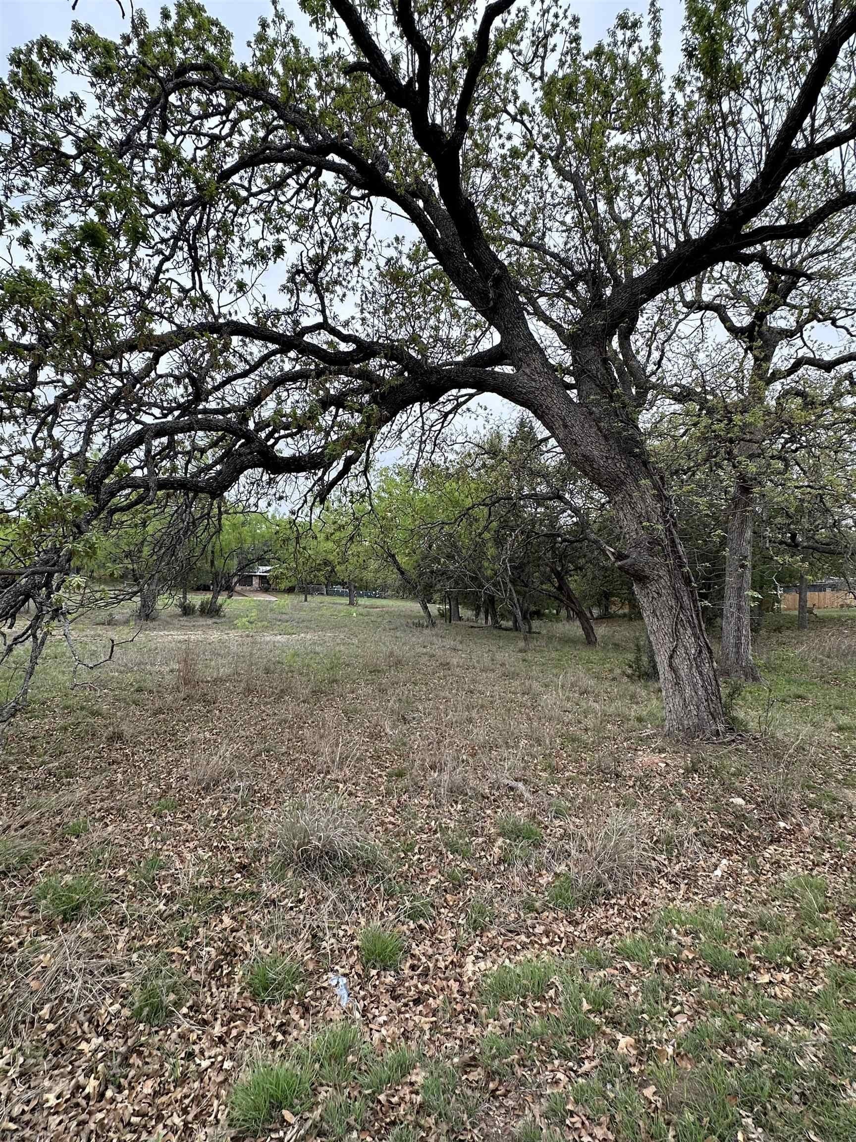 0.11 acres in Burnet County gallery image 2