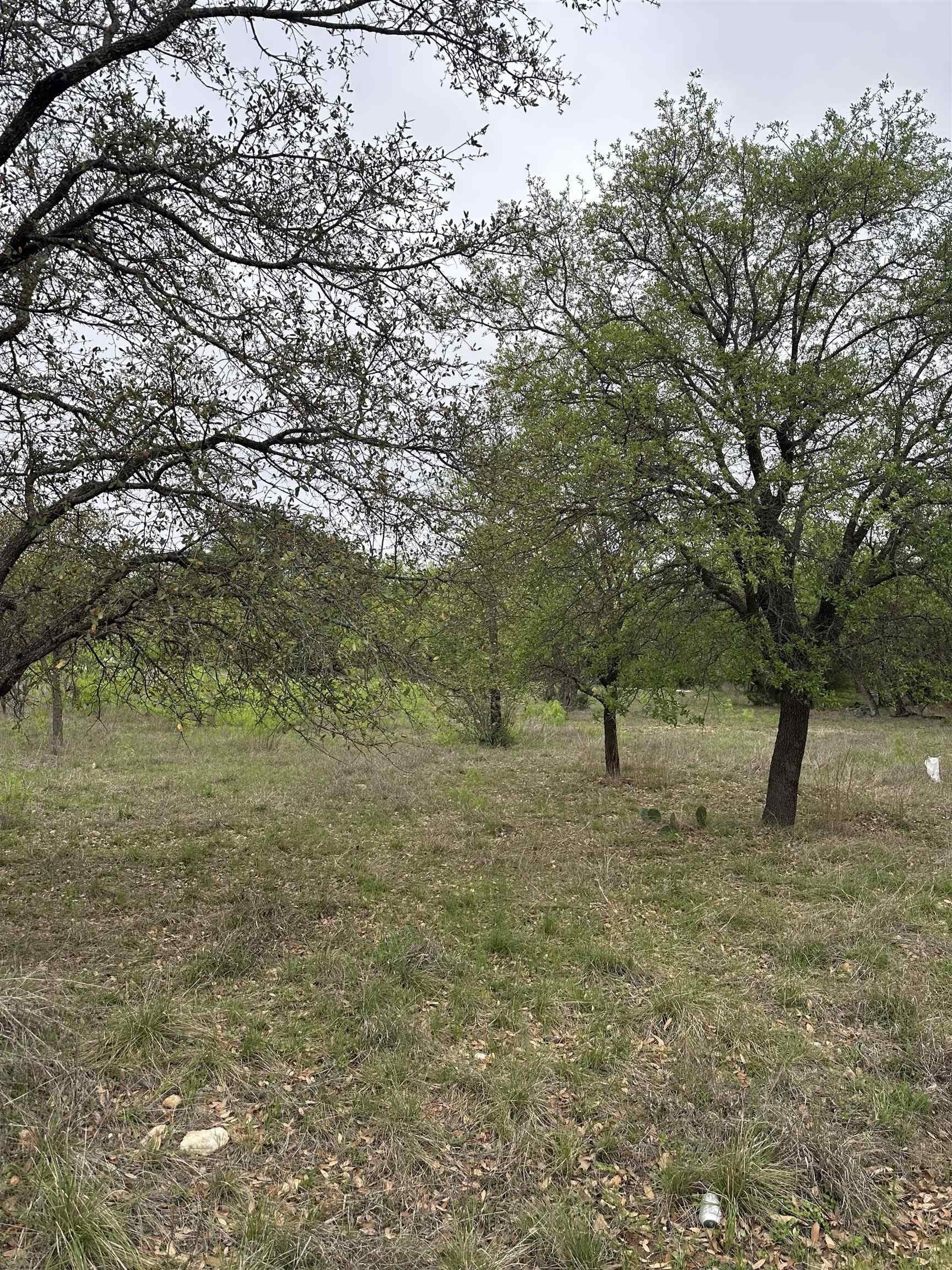 0.11 acres in Burnet County gallery image 3
