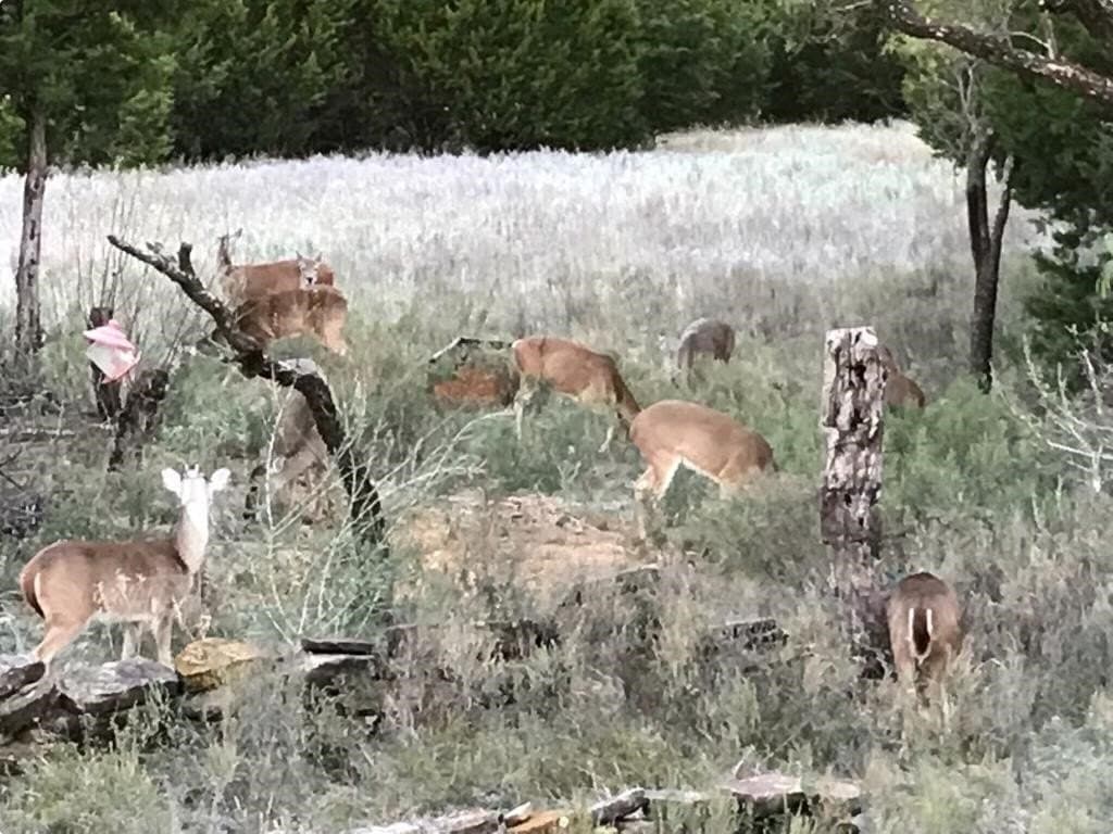 56.45 acres in Erath County - photo 37