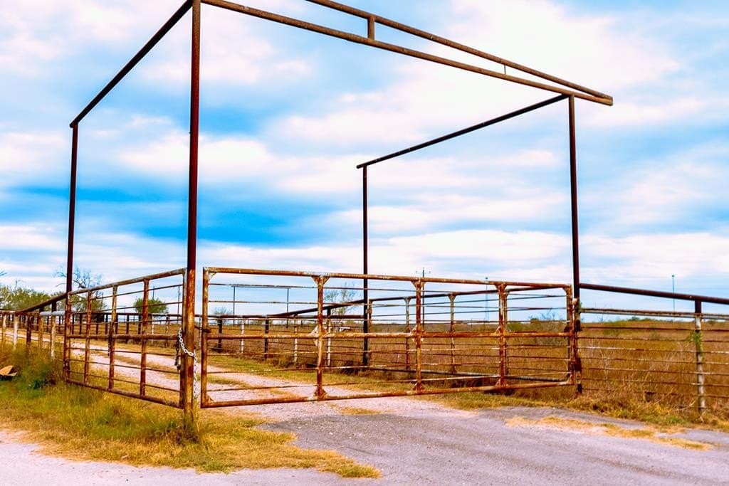 291.39 acres in Atascosa County gallery image 3