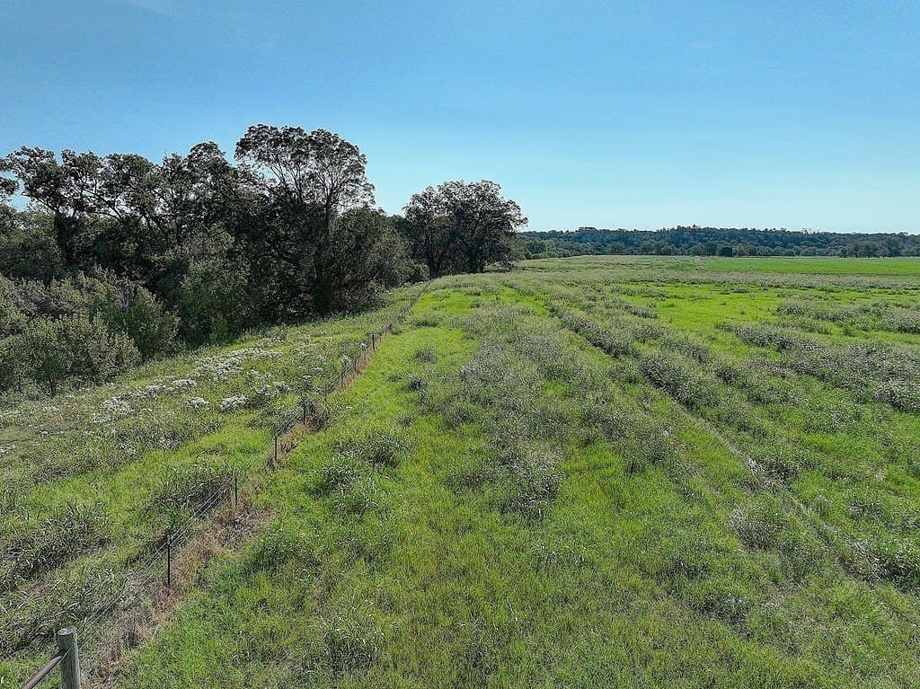 222.79 acres in Fayette County - photo 19
