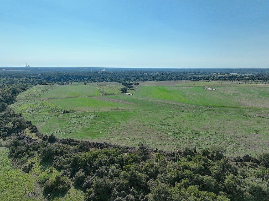 222.79 acres in Fayette County - photo 30