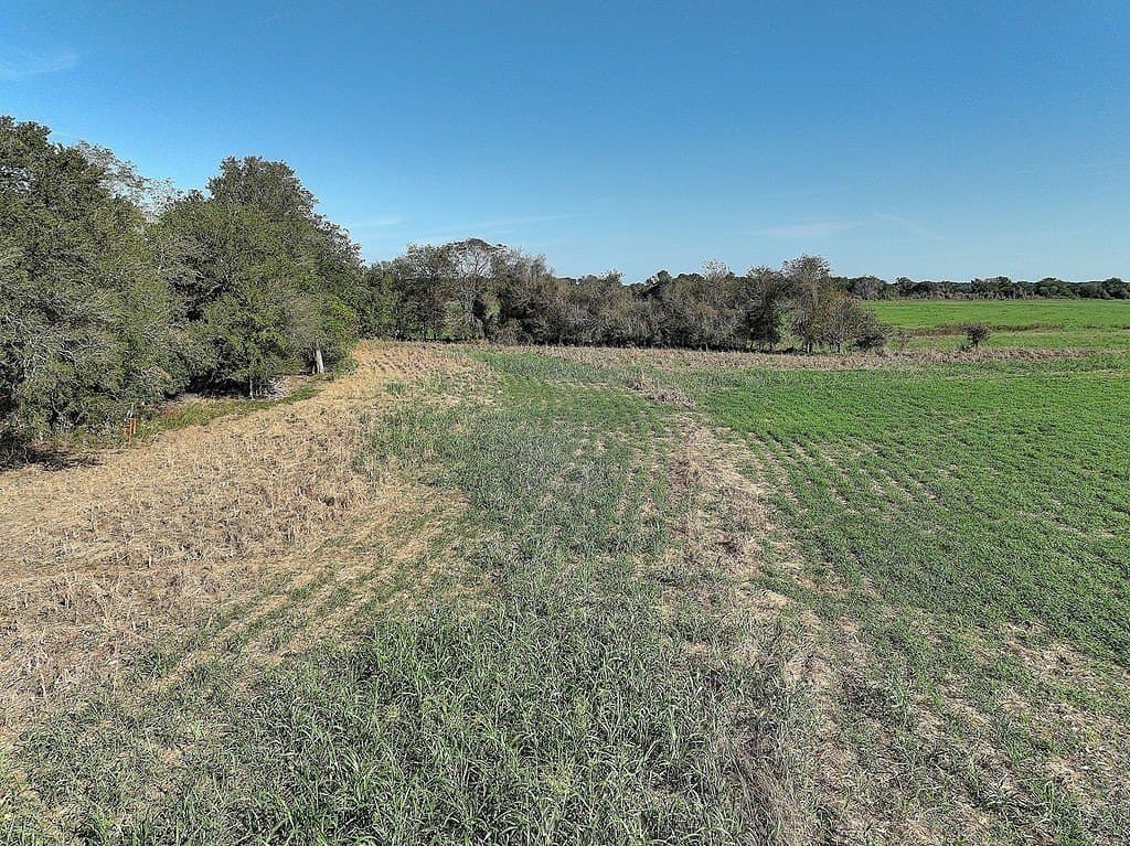 222.79 acres in Fayette County - photo 20