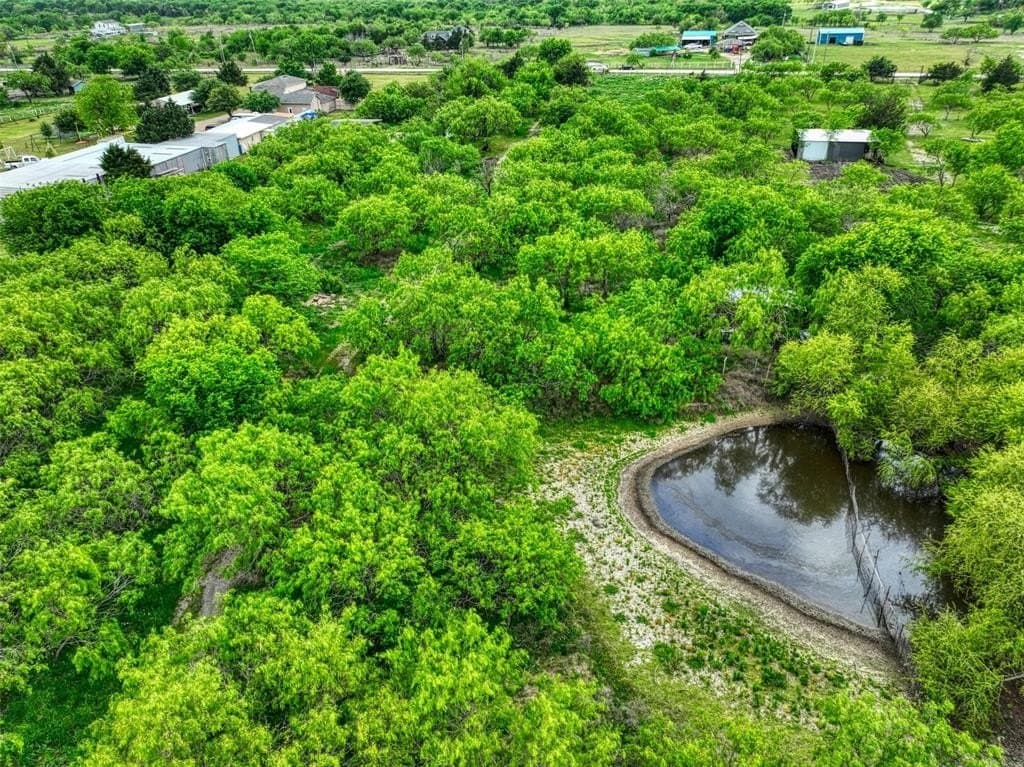 5 acres in Navarro County gallery image 4