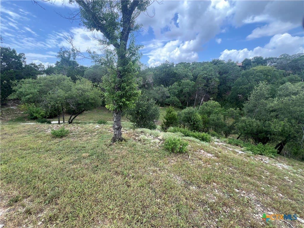 0.69 acres in Comal County - photo 12