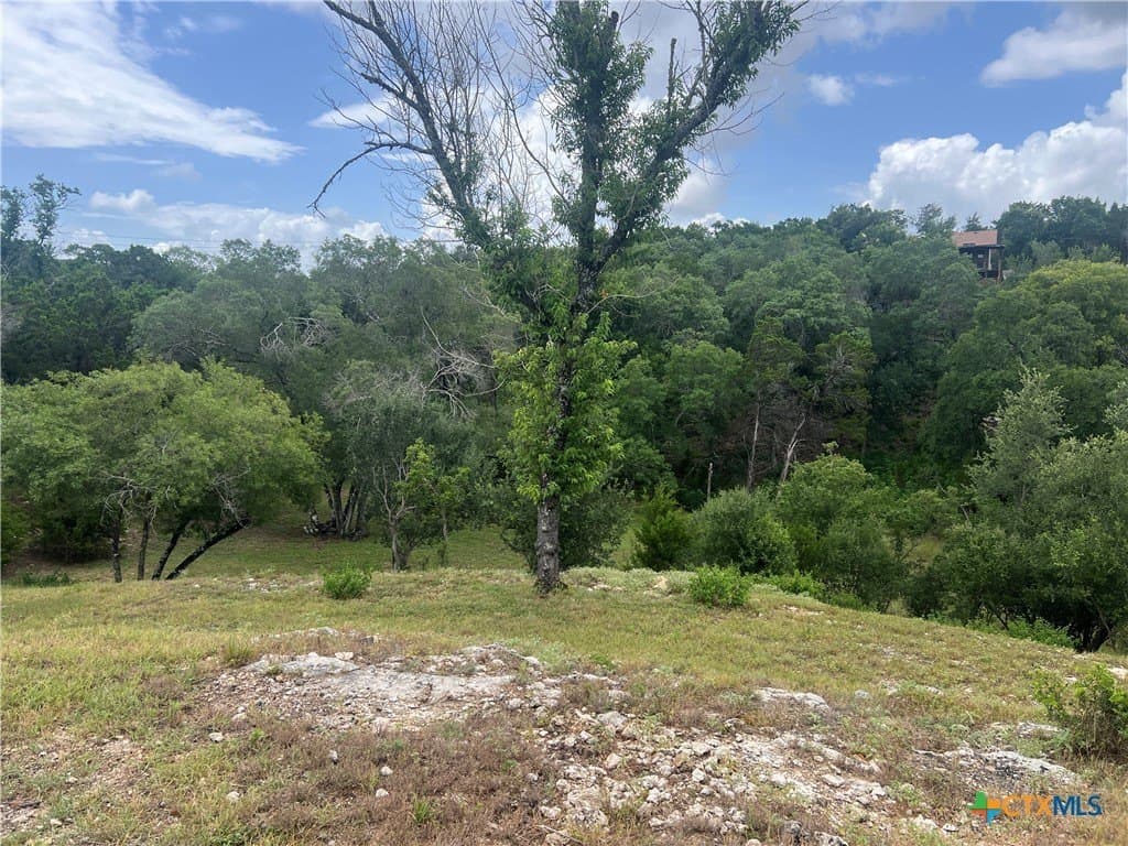 0.69 acres in Comal County - photo 10