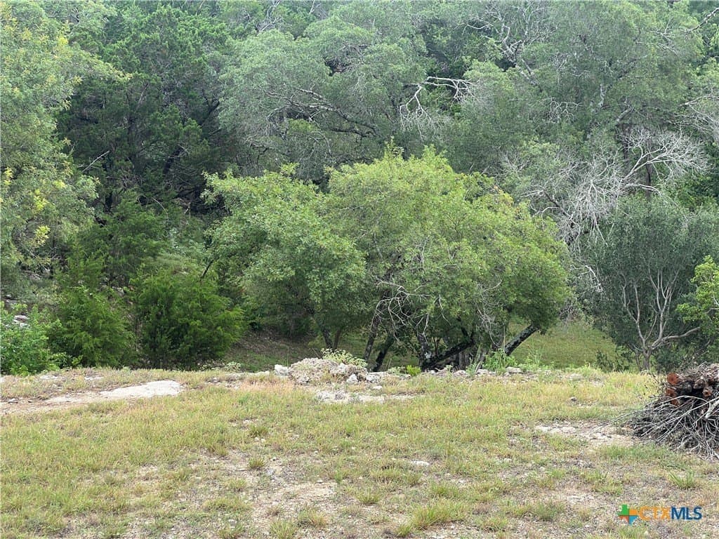 0.69 acres in Comal County - photo 7