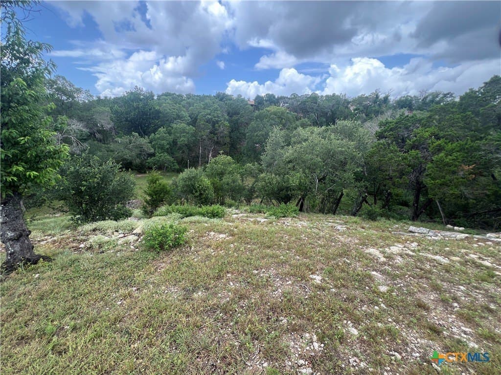 0.69 acres in Comal County gallery image 2