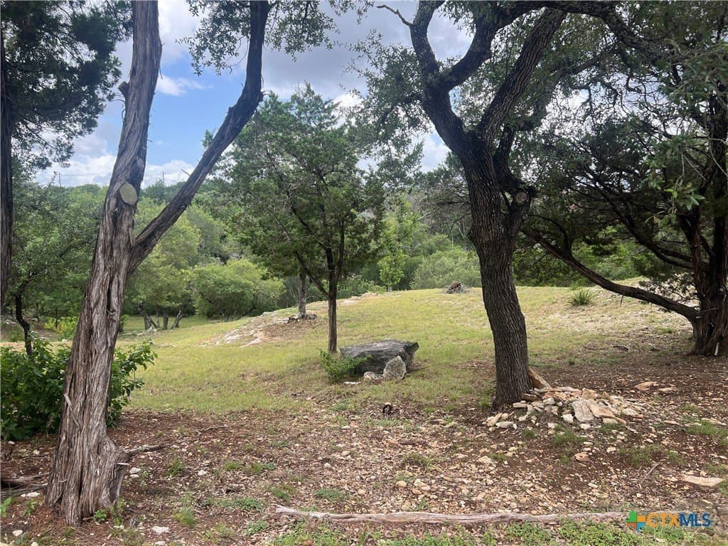 0.69 acres in Comal County gallery image 3