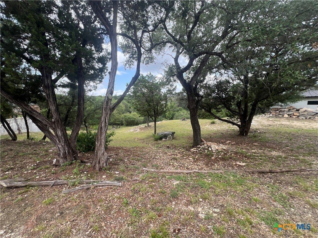 0.69 acres in Comal County - photo 14