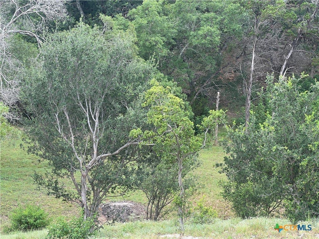 0.69 acres in Comal County - photo 6