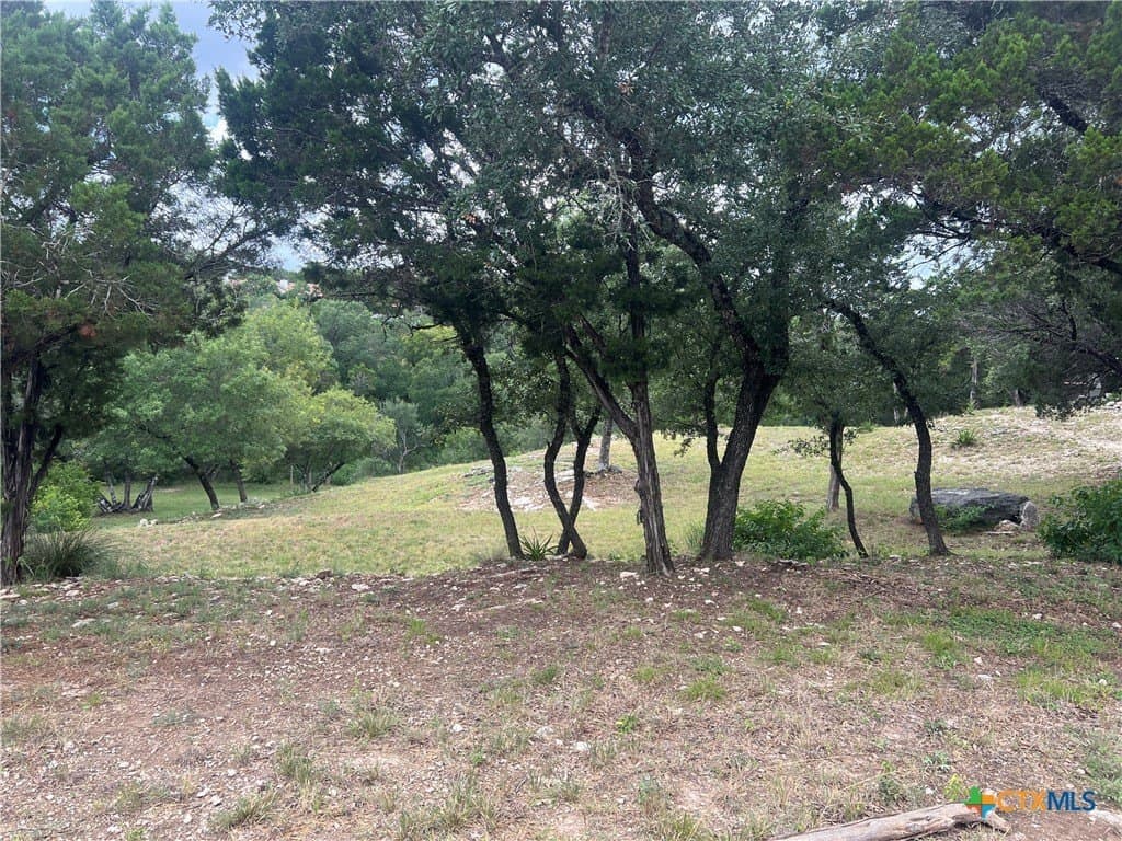 0.69 acres in Comal County - photo 15