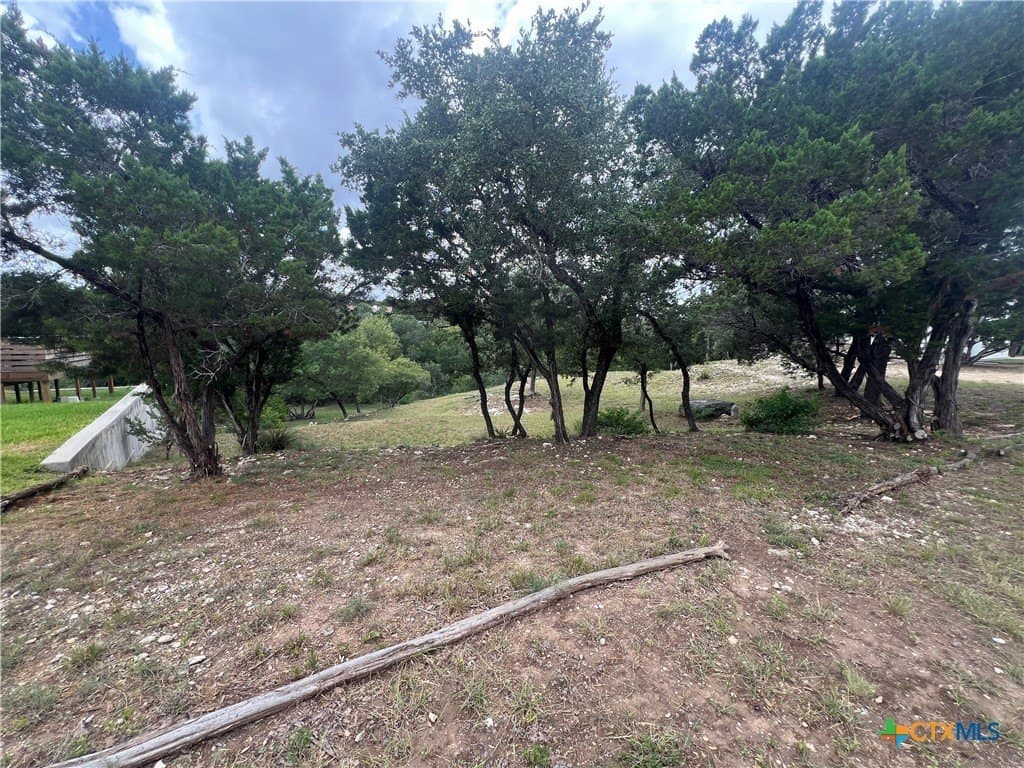 0.69 acres in Comal County - photo 16