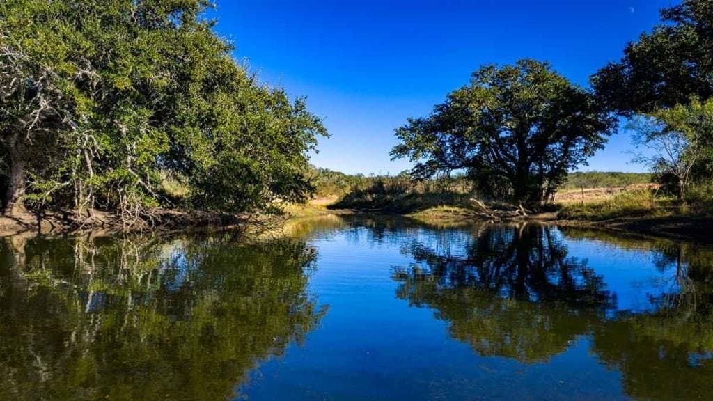 98.65 acres in Mason County