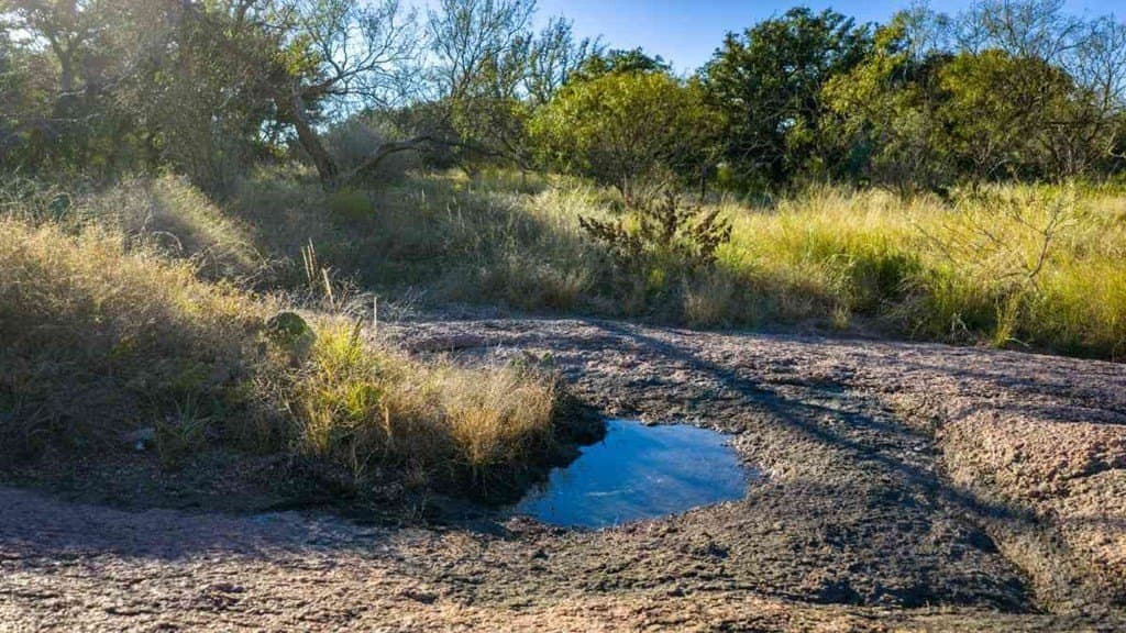 98.65 acres in Mason County gallery image 3