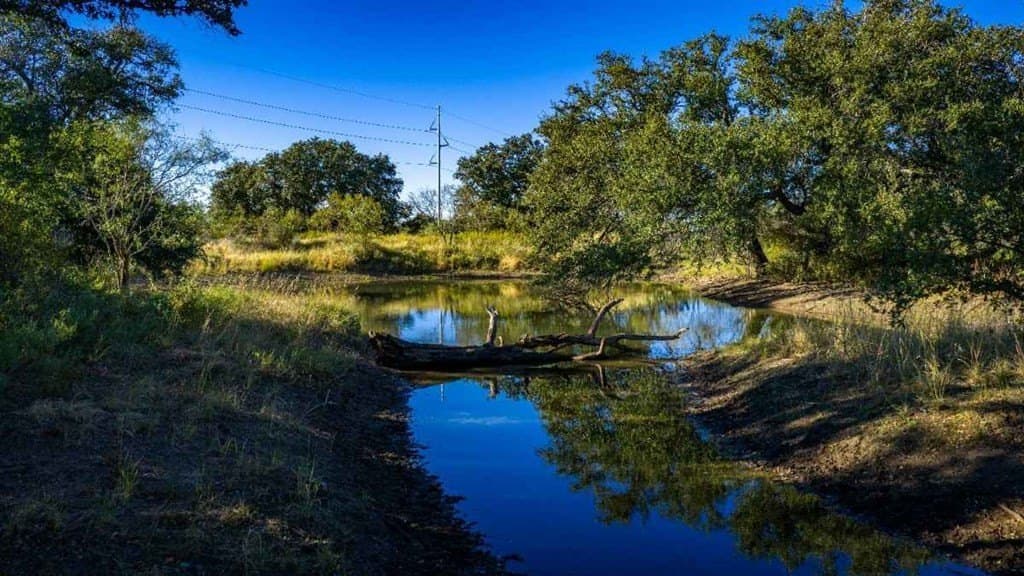 98.65 acres in Mason County gallery image 2