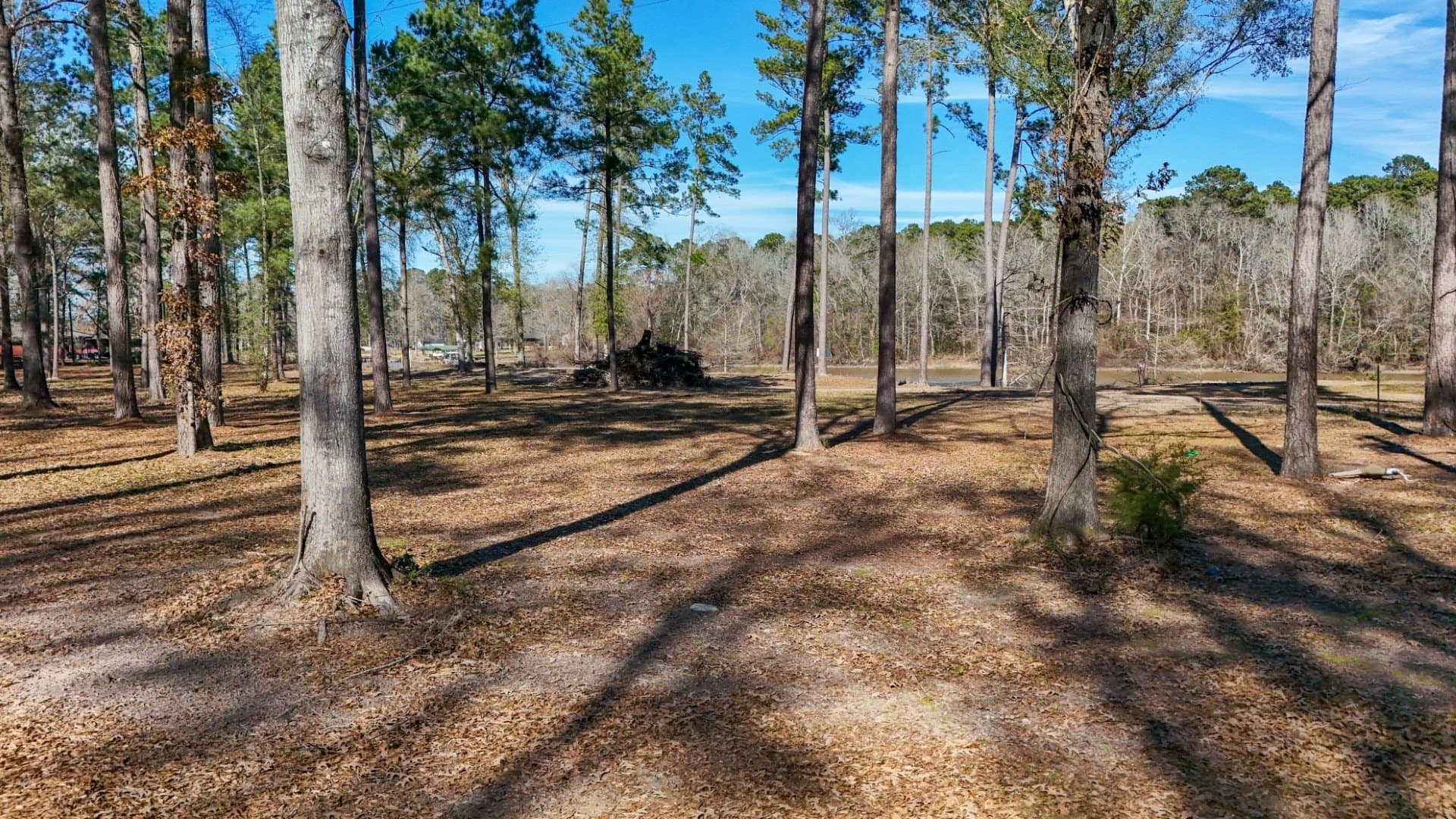 0.7 acres in Shelby County - photo 6