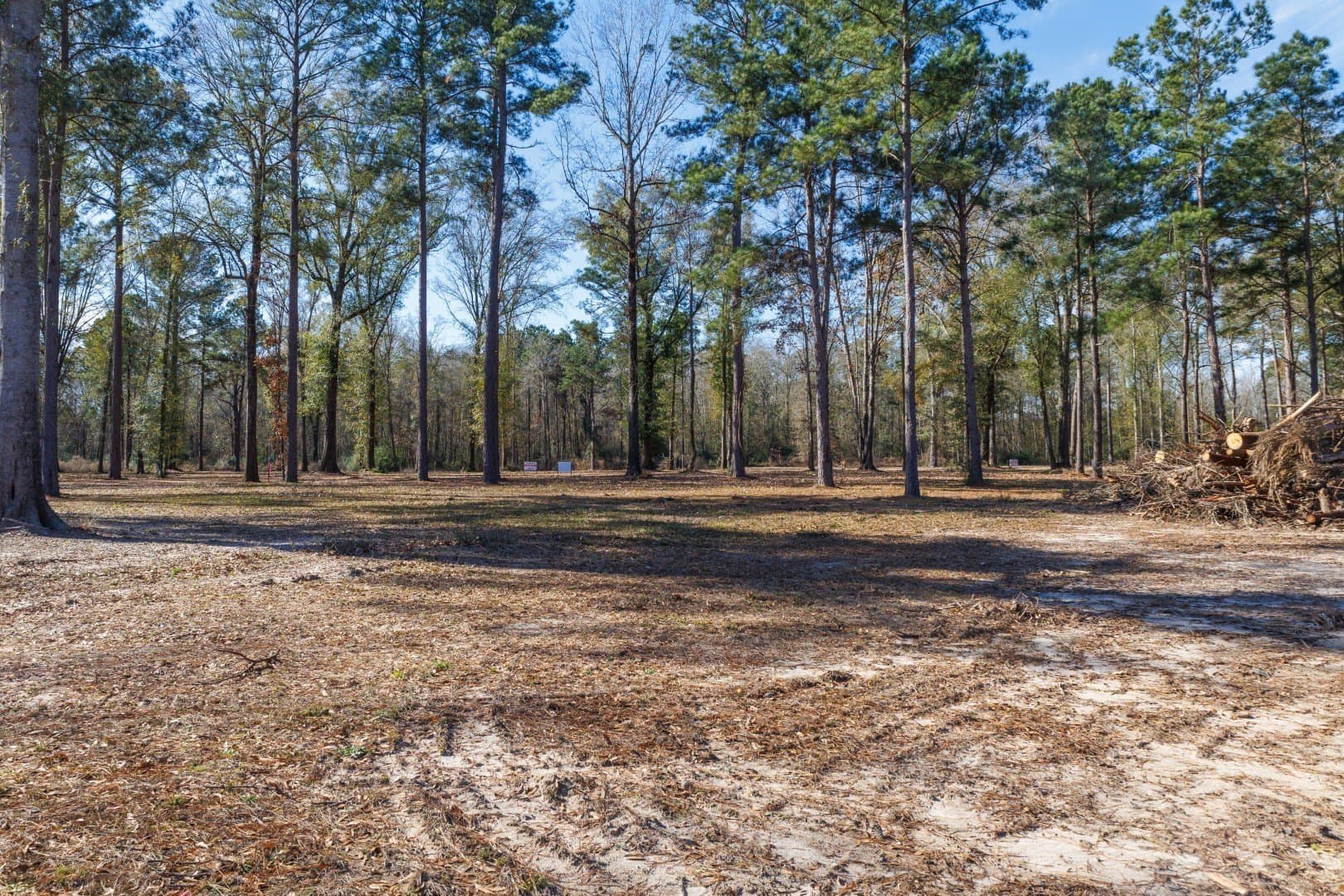 0.7 acres in Shelby County - photo 17