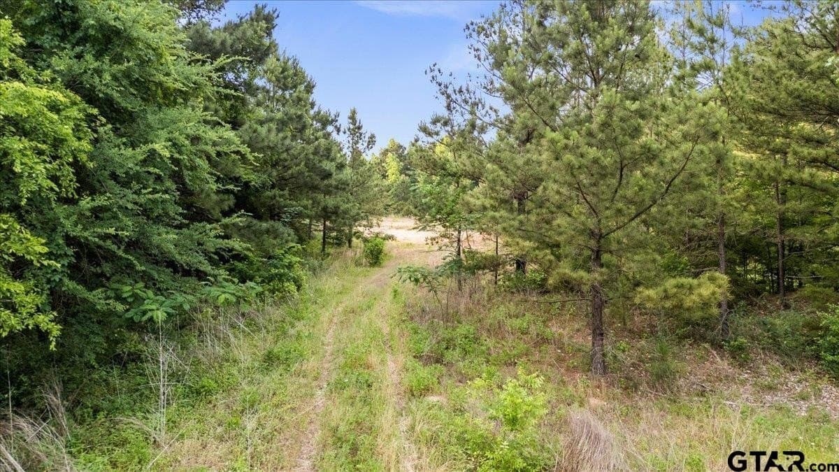 12.02 acres in Smith County featured view