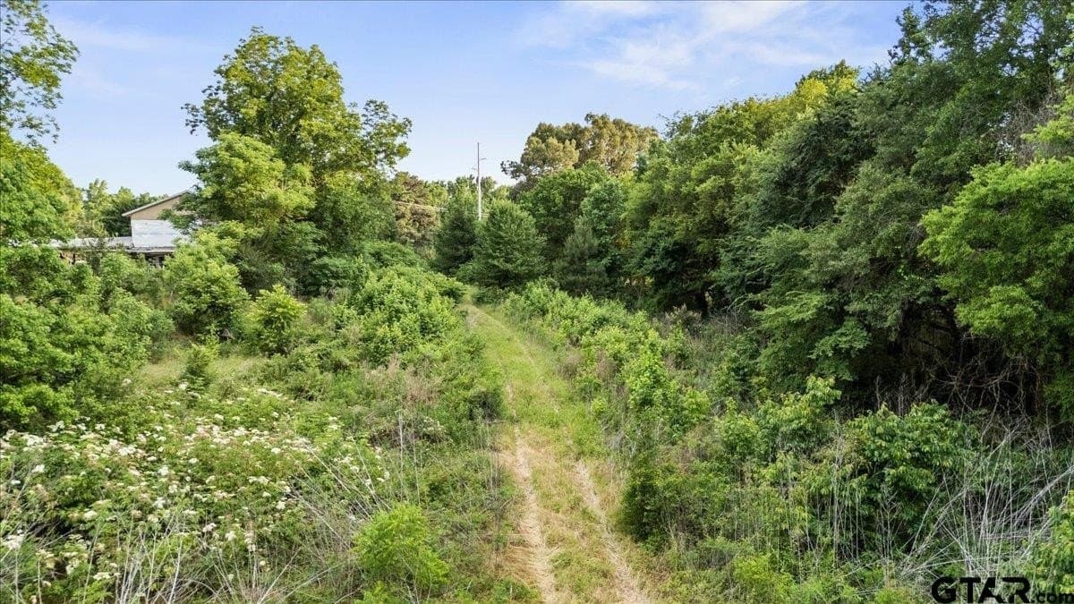 12.02 acres in Smith County gallery image 4