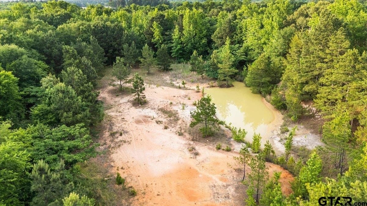 12.02 acres in Smith County - photo 6