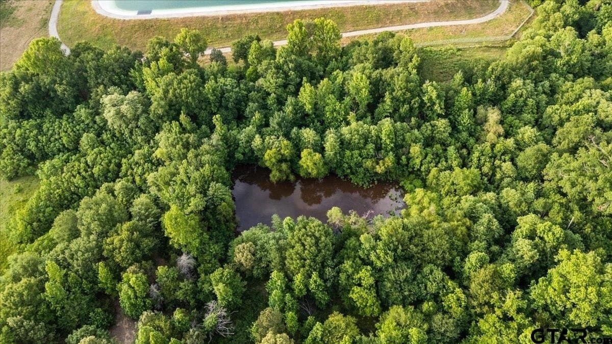 12.02 acres in Smith County - photo 8