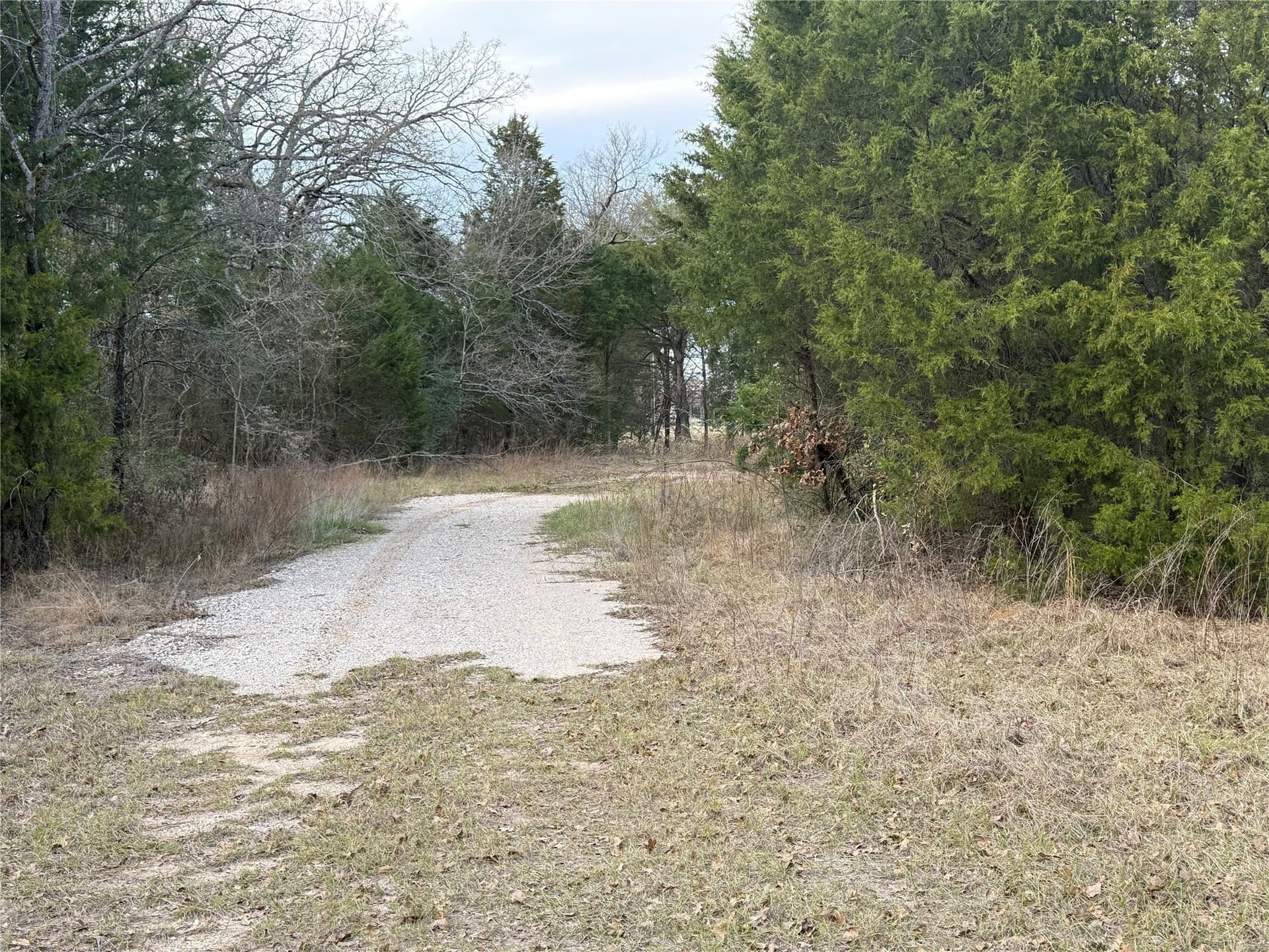 26.21 acres in Henderson County gallery image 4