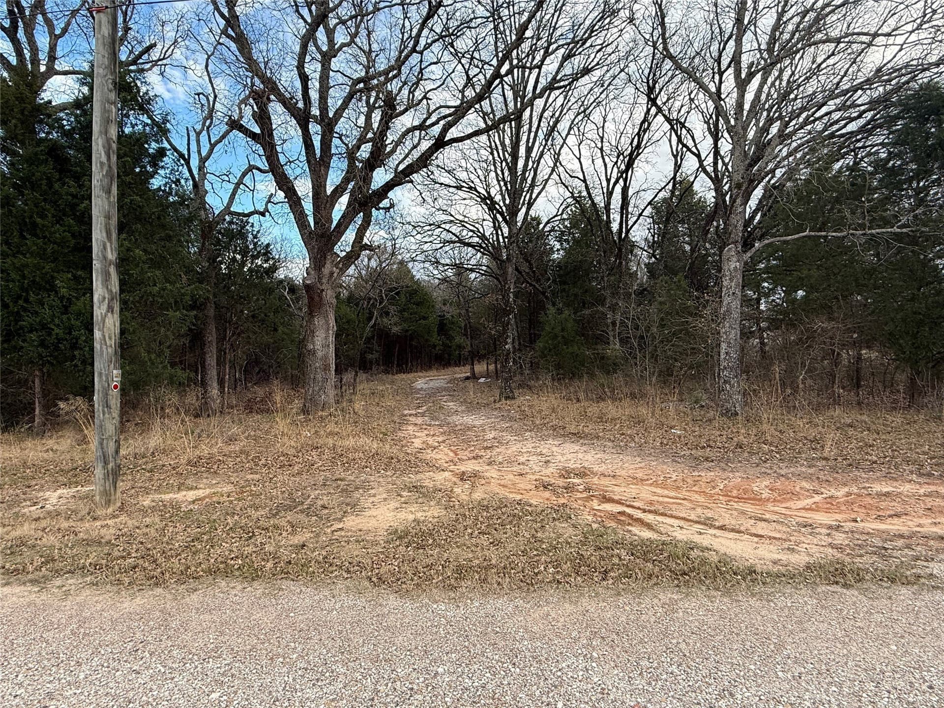 26.21 acres in Henderson County gallery image 3