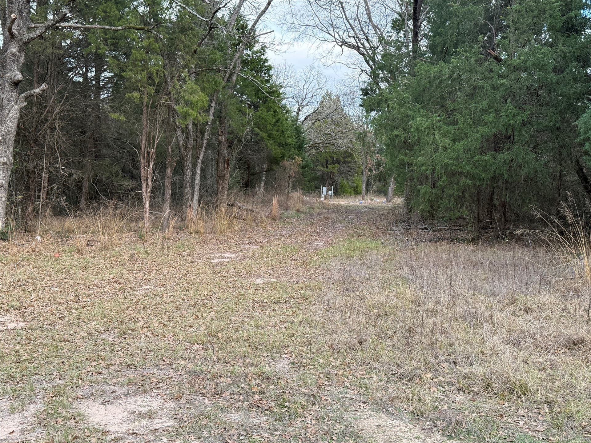26.21 acres in Henderson County featured view