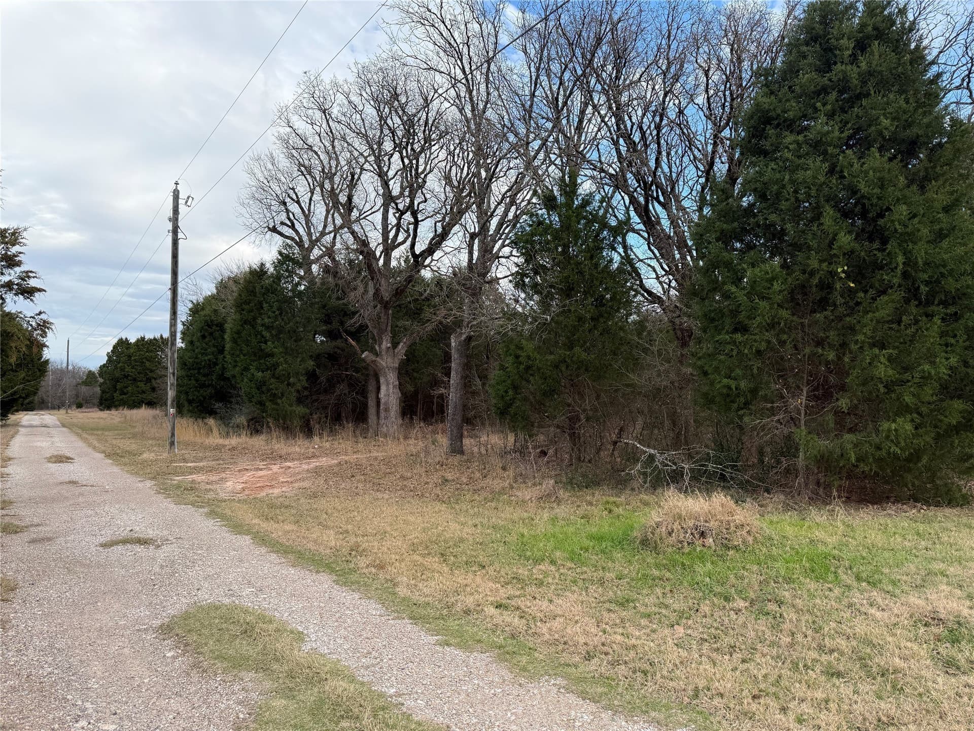 26.21 acres in Henderson County gallery image 2