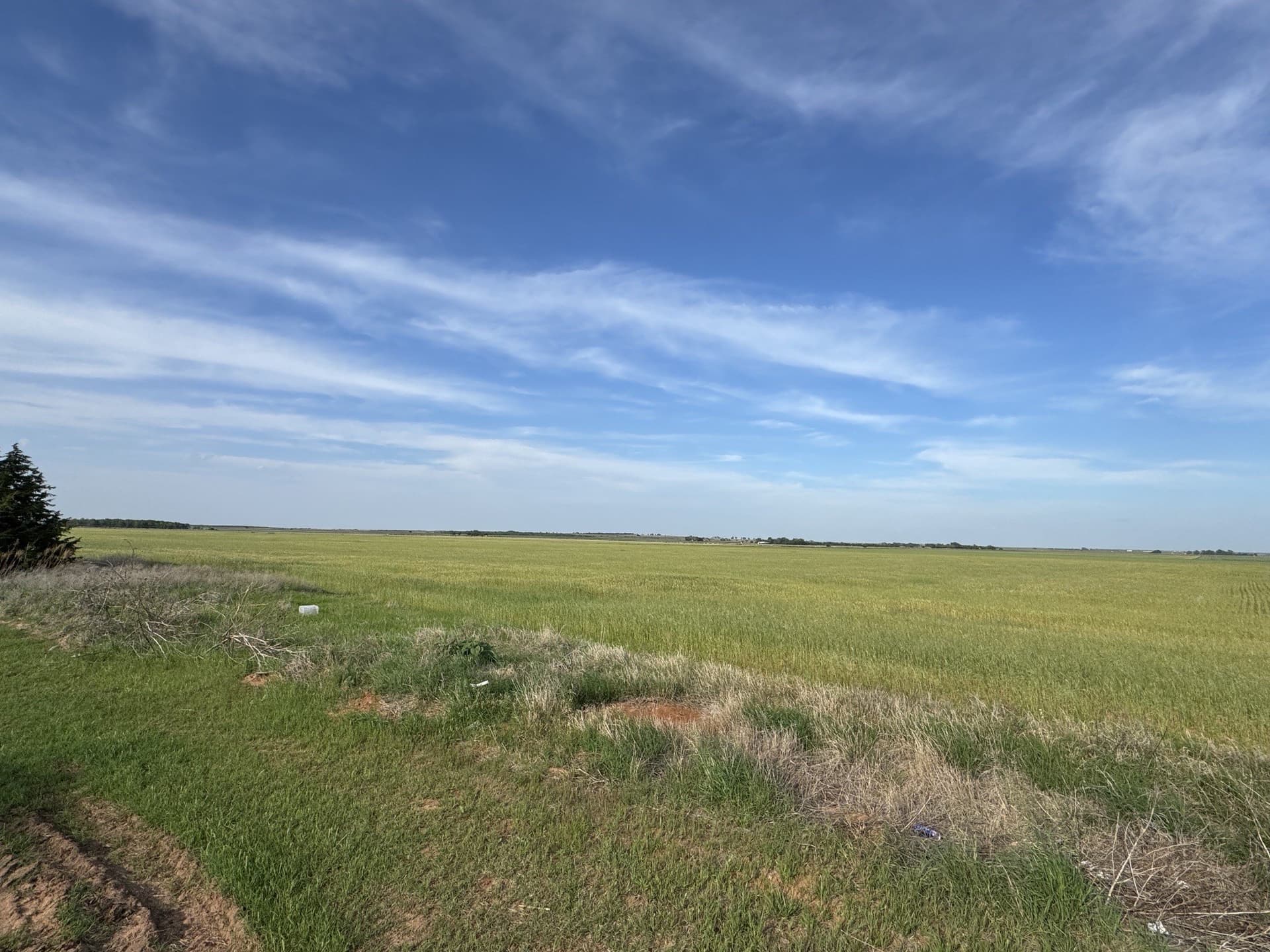 75.41 acres in Baylor County gallery image 4